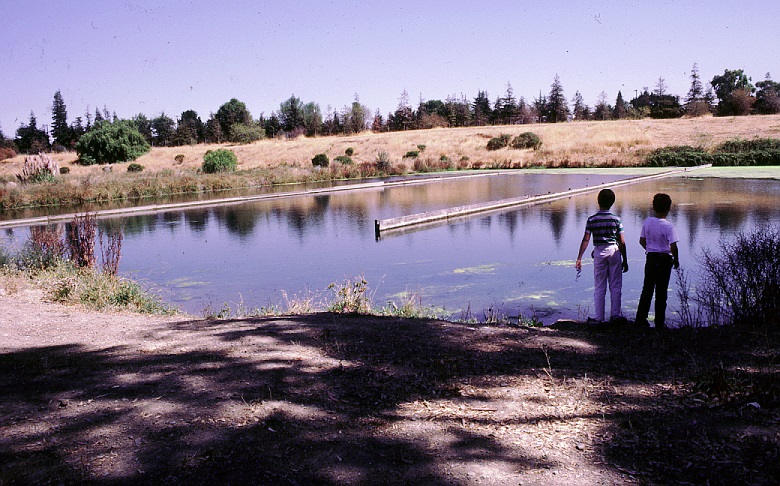 Photo of settling pond